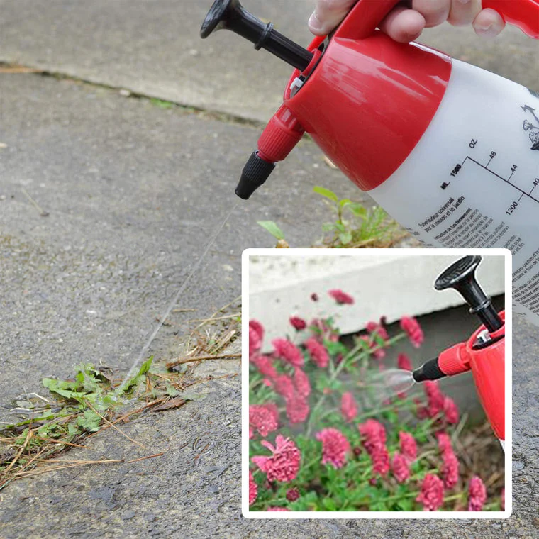 Chapin 48 oz. Multi-Purpose Handheld Pump Sprayer - Image 5
