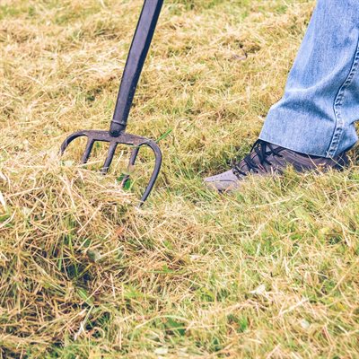 ProYard 41" 4-Tine Spading Fork Fibreglass D-Handle - Image 3