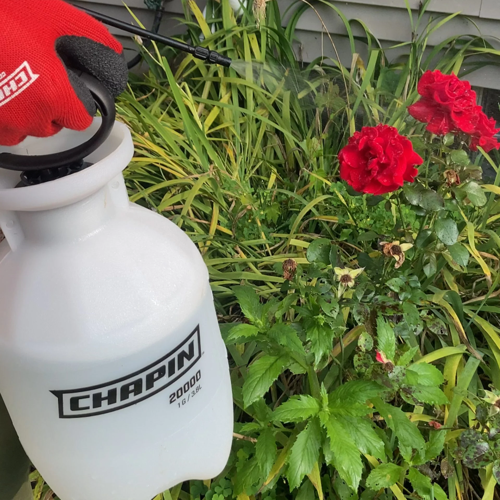 Chapin 1 Gallon Manual Lawn & Garden Sprayer - Image 3