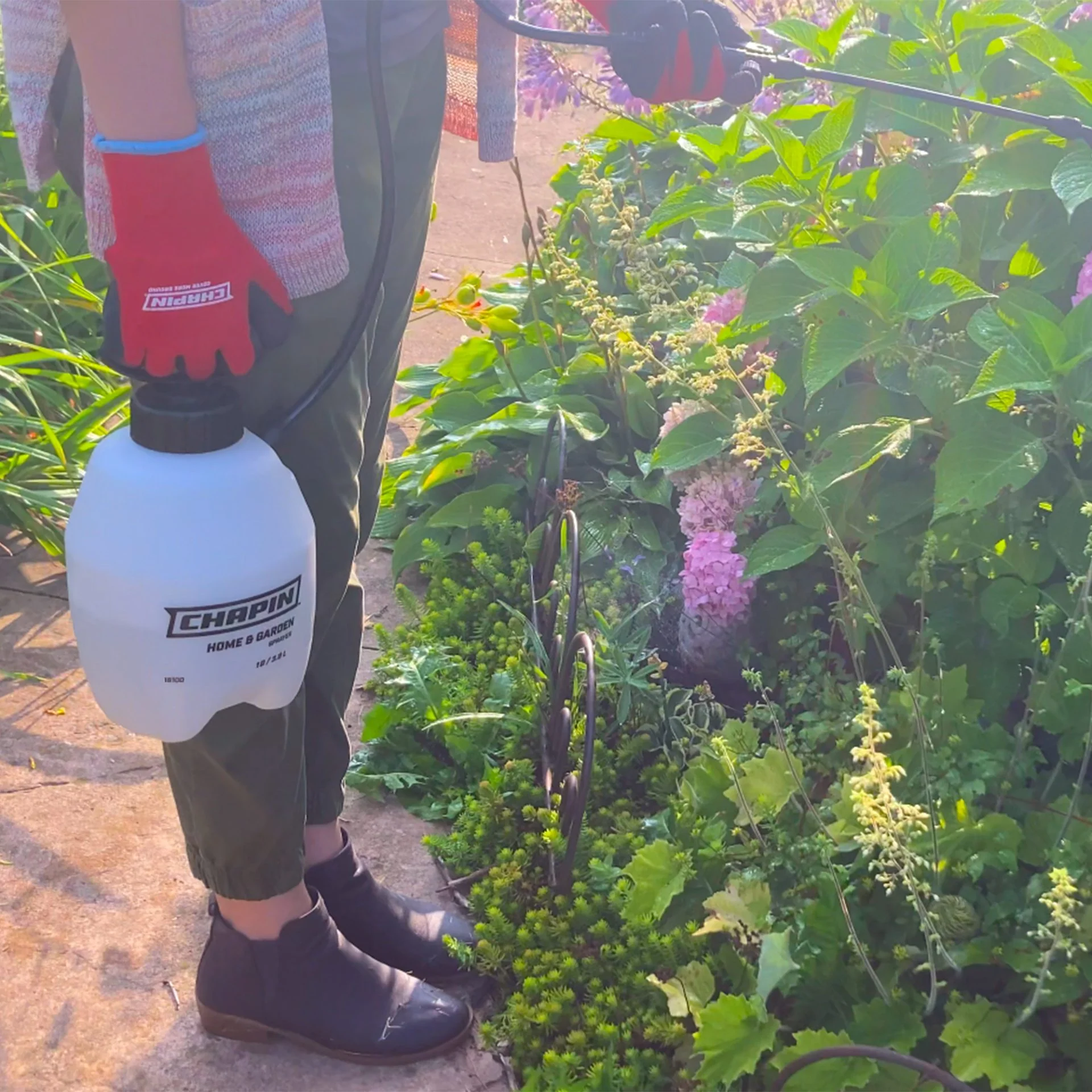 Chapin Home & Garden Value Series Sprayer - 1 Gal - Image 2