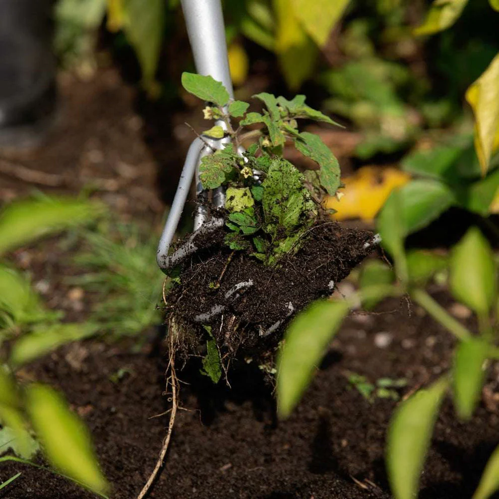 Garant 5-Tine Cultivator - Image 6