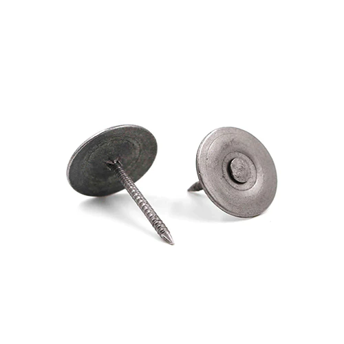 Interfast Bulk Electrogalvanized Round Top Metal Cap Nails 50LB