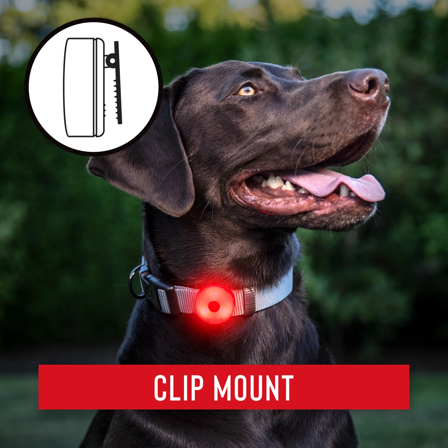 Coast SL1R Rechargeable Red Safety Light - Image 6