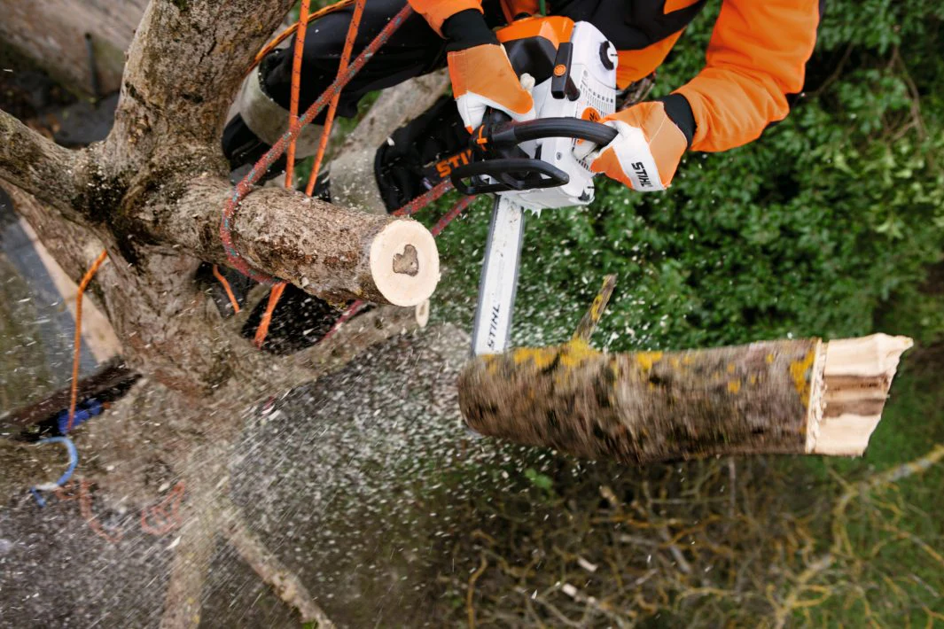 STIHL MS 201 TC-M Gas Arborist Chainsaw (35.2cc) M-Tronic - 14" - Image 3