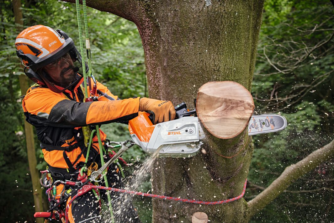 STIHL MSA 220T 36V Top Handle 14" Cordless Chainsaw (AP System) Tool Only - Image 4