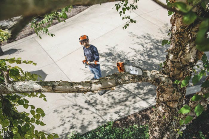 STIHL HT 135 Gas Professional Telescopic Pole Pruner (36.3cc) - 2.7m - 3.9m - Image 4