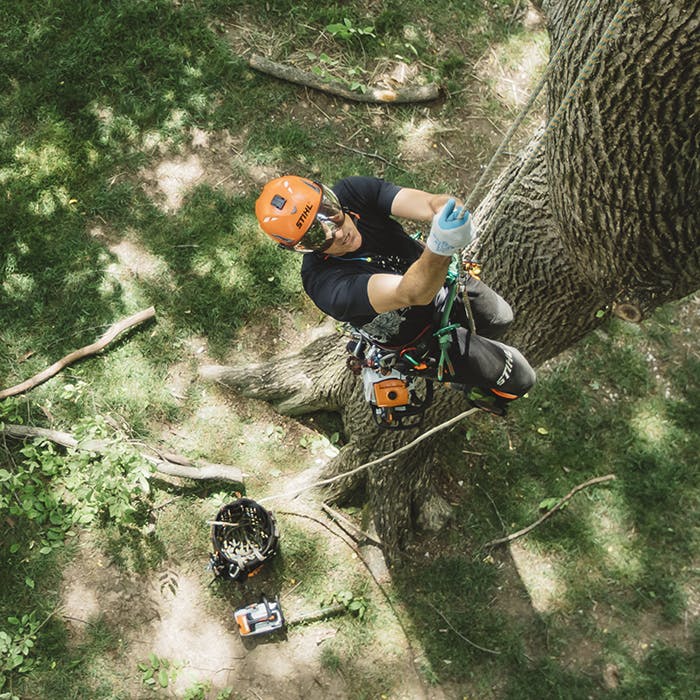 STIHL MS 194T Gas Chainsaw (31.8cc) - 16" - Image 4
