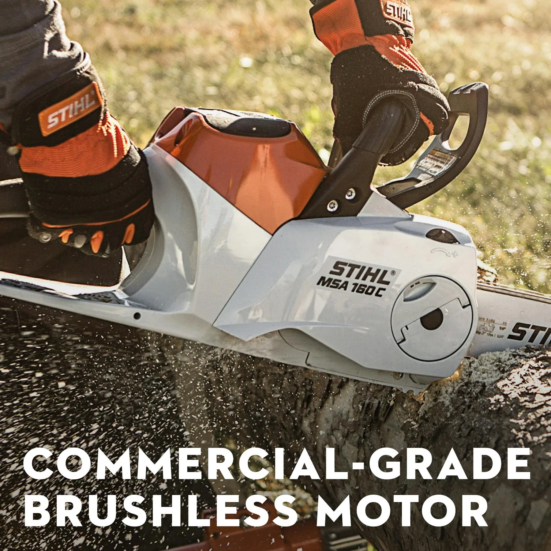 STIHL MSA 160 C-B 36V 12" Cordless Chainsaw (AP System) - Tool Only - Image 4