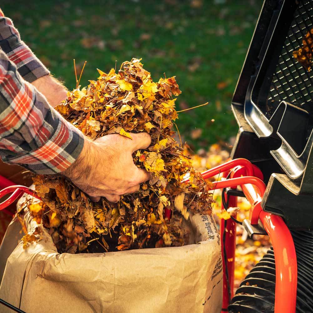 DR PILOT XTSP Leaf and Lawn Vacuum - Image 8